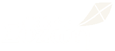 syzoi-logo